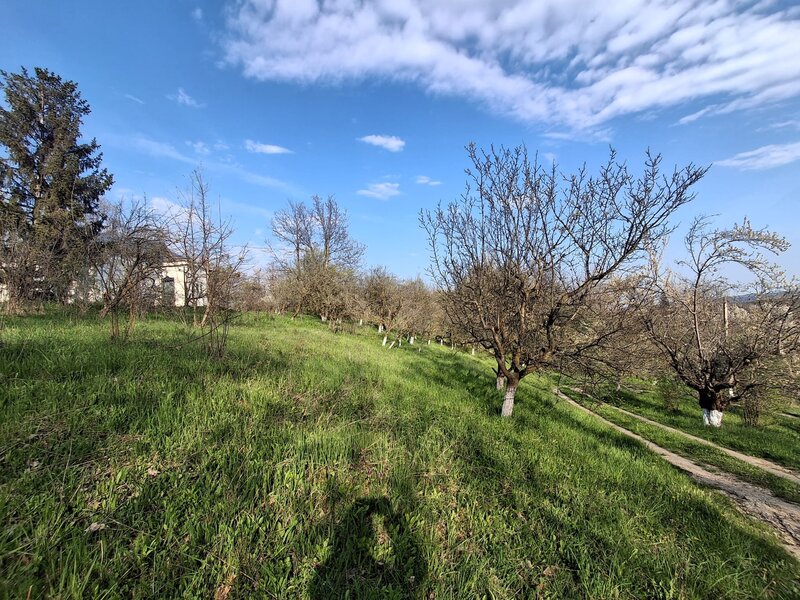 Campina, Baicoi, Scorteni,
