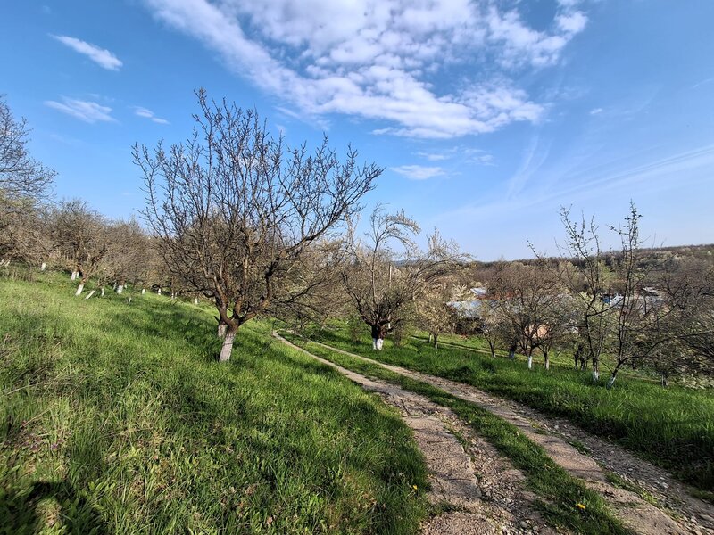 Campina, Baicoi, Scorteni,