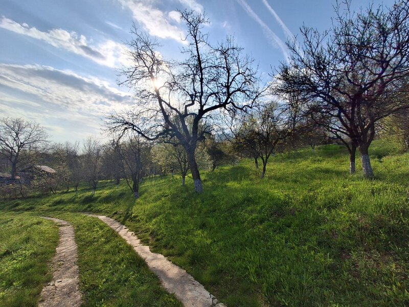Campina, Baicoi, Scorteni,