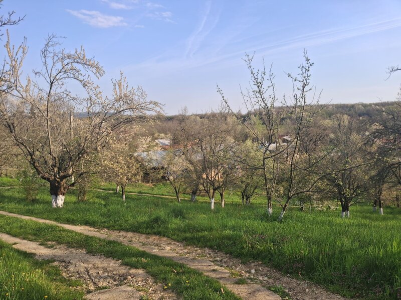 Campina, Baicoi, Scorteni,