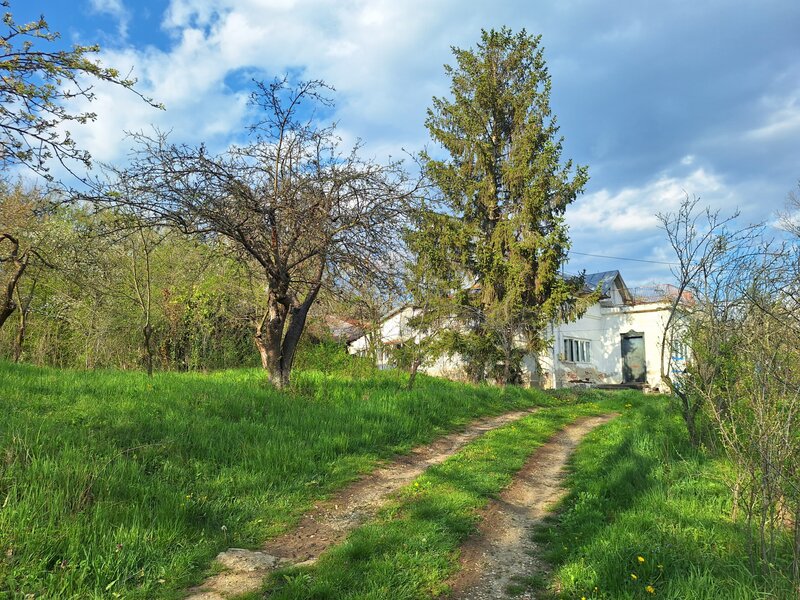 Campina, Baicoi, Scorteni,