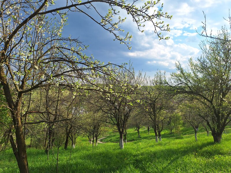 Campina, Baicoi, Scorteni,