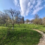 Campina, Baicoi, Scorteni