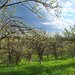 Campina, Baicoi, Scorteni,